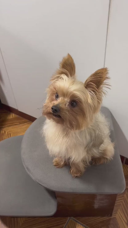 CEPILLO A VAPOR PARA MASCOTAS